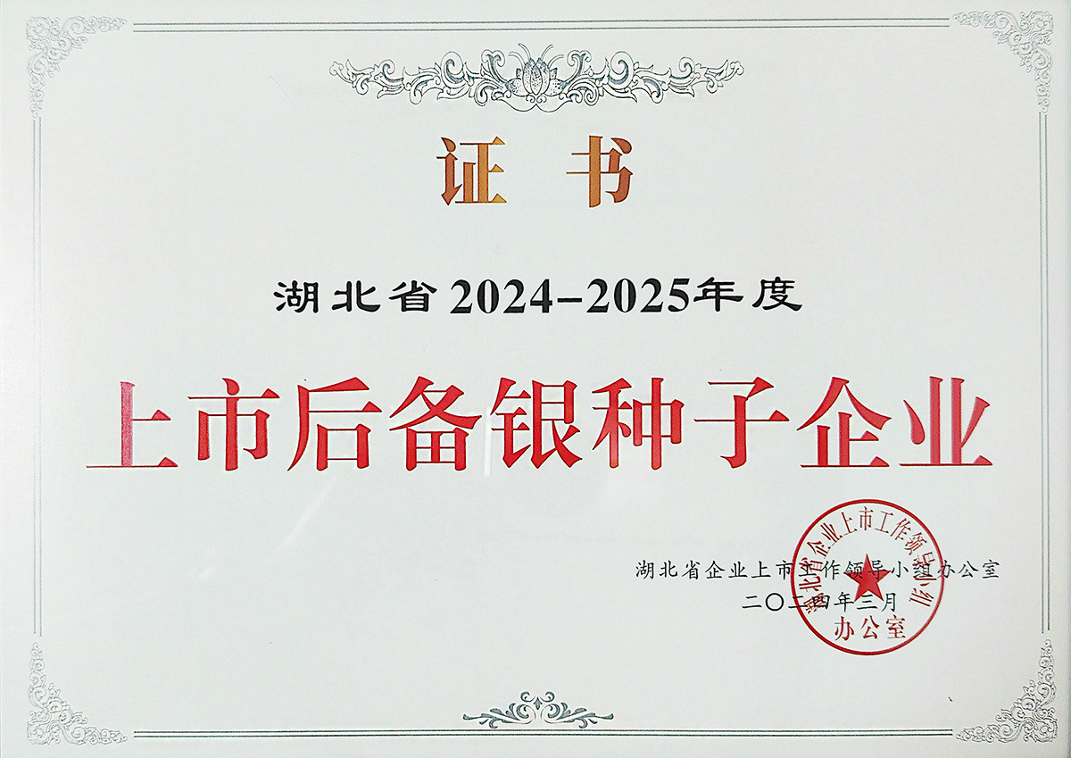 上海中信集團(tuán)3*16m80t汽車衡